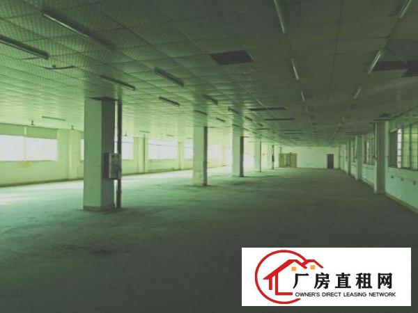  塘厦林村 靠近高速 3楼标准厂房 1200平方米 重工业招租