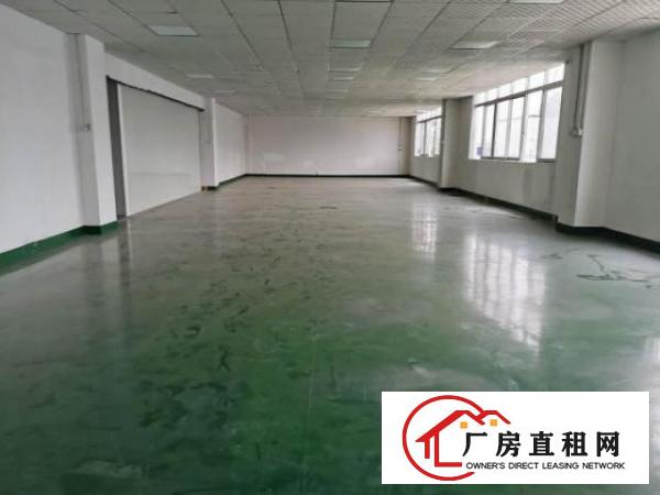  （原房东）宏业北路主路边700平米精装修厂房（实际面积）