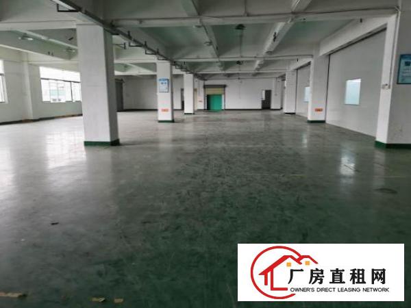  （原房东）宏业北路主路边700平米精装修厂房（实际面积）