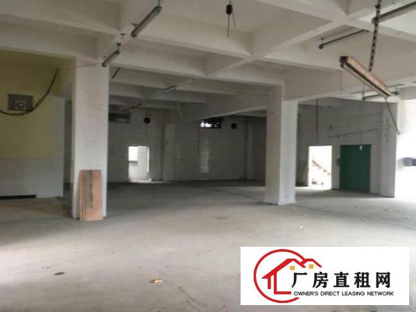  原房东，塘厦田心600平方米3楼标准厂房，电子手袋，人气旺