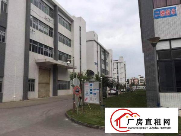  实拍！塘厦田心2000平方米二楼厂房，喷淋 办公室 两部货梯