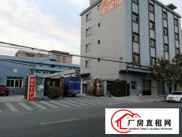  石马（电子线材）700平方米独院二楼厂房精装出租