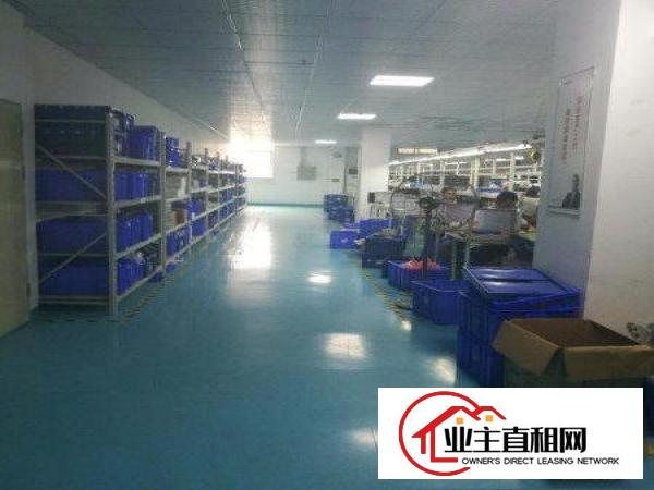  挨观澜和高速，大坪原房东7380平方米独院厂房出租