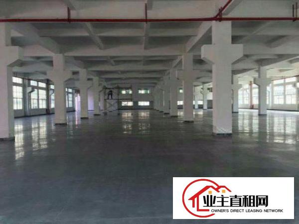  重工业福音！沙湖2500平方米工业园一楼标准厂房！临大坪高速