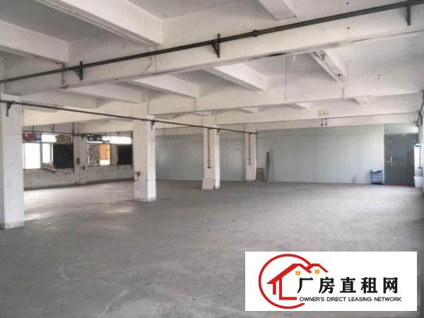 实拍石鼓500平米带水电装修标准3楼厂房，临石马/凤岗