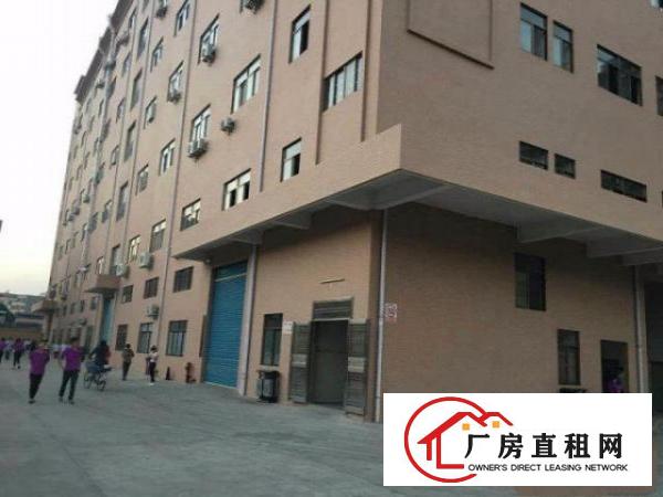  （重工业型）塘厦振兴围1000平方米消防装修标准一楼厂房出租