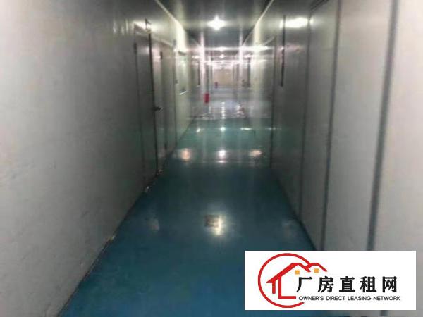  塘厦近深圳观兰独院厂房出租6840平现成千级无尘车间