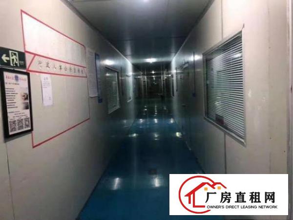  塘厦近深圳观兰独院厂房出租6840平现成千级无尘车间