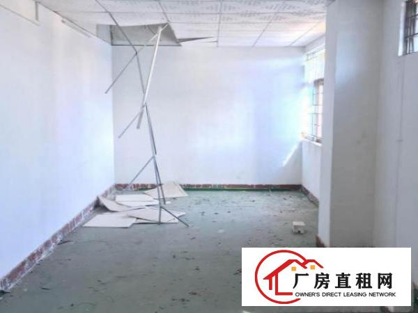  【凤凰岗园区450平米标准4楼厂房，免装修，挨桥陇/凤岗】
