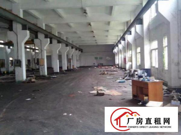  。塘厦石马3800平方独门独院厂房。精装修。靠石鼓/观澜。