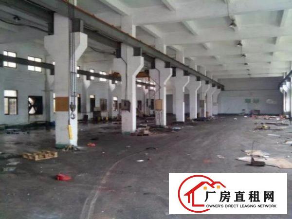 。塘厦石马3800平方独门独院厂房。精装修。靠石鼓/观澜。