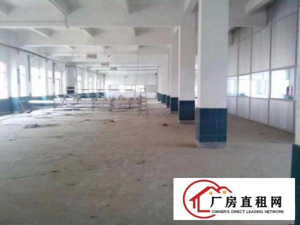  。塘厦石马3800平方独门独院厂房。精装修。靠石鼓/观澜。