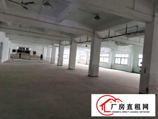  新办的五金喷油环评，塘厦大坪1200平米2F标准厂房出租