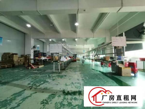  塘厦沙湖1200平方米消防证标准3楼厂房，大坪/科苑城