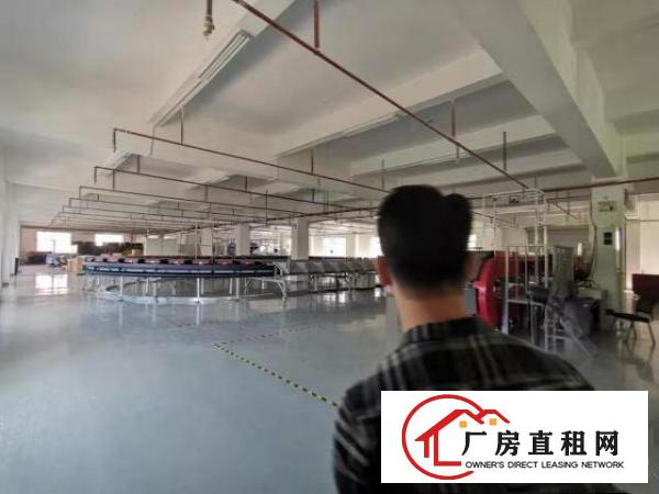  工业好发展！128工业区刚空2000平米2楼标准厂房招租