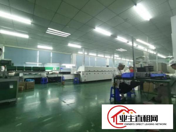  （带吊顶和中央空调）科苑城1500平方3F厂房配宿舍招租