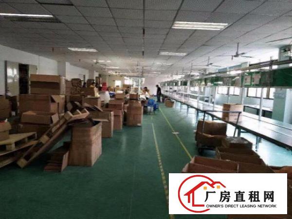  来这里！送装修！大坪靠深圳3500平方米工业园3楼厂房招租