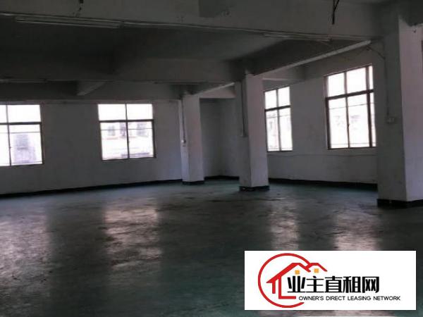  实用300平，无公摊，无其他费用，房东直租