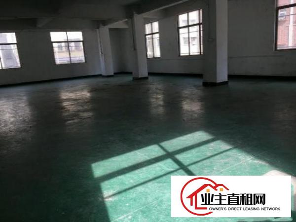  实用300平，无公摊，无其他费用，房东直租