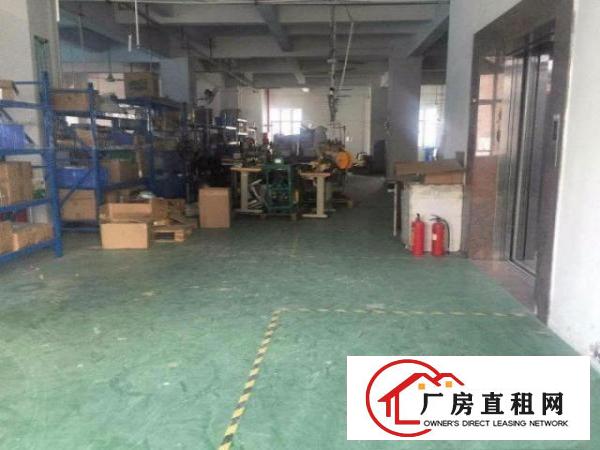  138工业区标准一楼厂房500平米靠近商业街出租