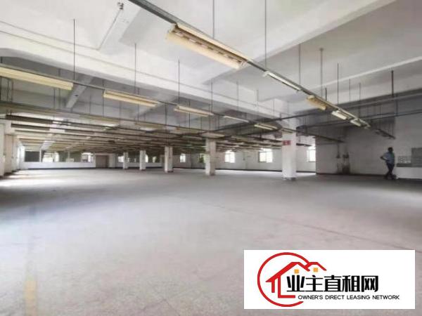  形象好，塘厦凤凰岗4000平方独院厂房出租