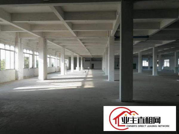  形象好，塘厦凤凰岗4000平方独院厂房出租