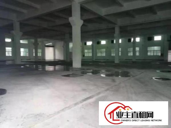  形象好，塘厦凤凰岗4000平方独院厂房出租