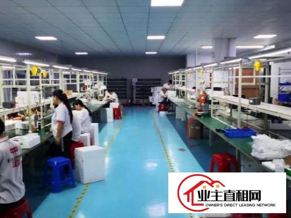  天伦科技园厂房、仓库出租