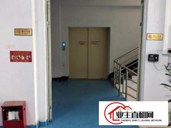  免租金一个月急转塘厦石鼓带装修正规厂房