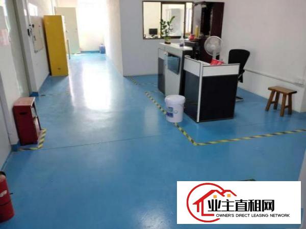  免租金一个月急转塘厦石鼓带装修正规厂房