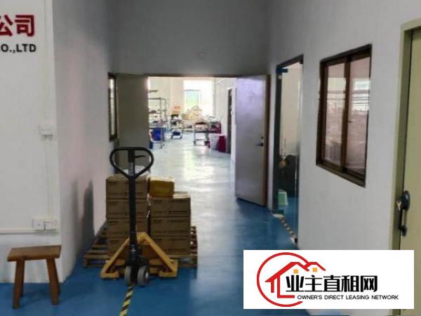  免租金一个月急转塘厦石鼓带装修正规厂房