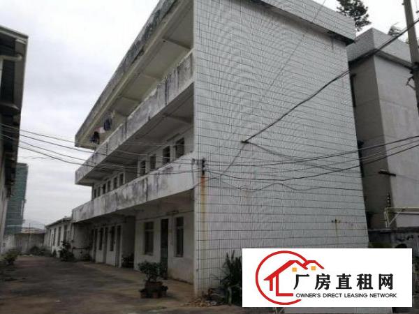  高度：7米，类型：独院钢构厂房，面积：800平方米，主干道