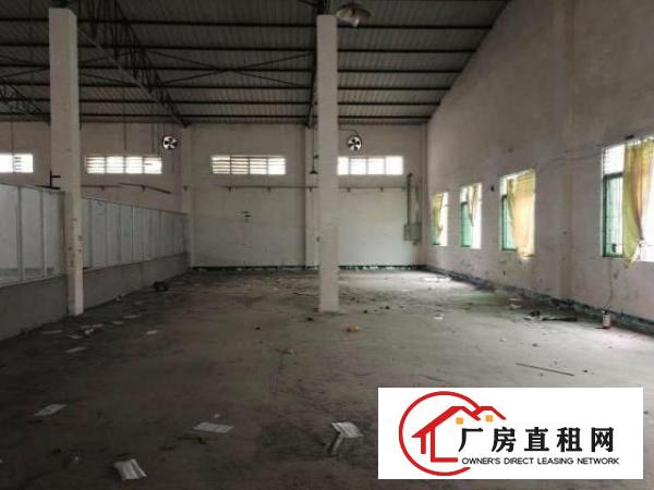  高度：7米，类型：独院钢构厂房，面积：800平方米，主干道