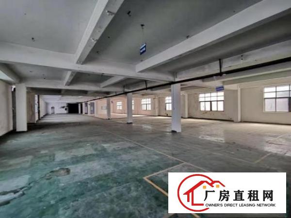  好房！塘厦莲湖700平方米工业园3楼标准厂房！靠主干道！