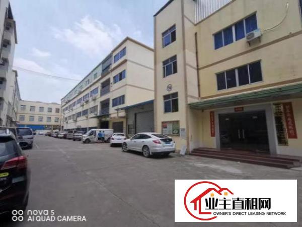  实拍图~塘厦莲湖480平米标准2楼厂房~精装修~有红本