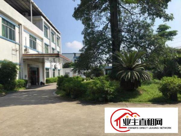  塘厦128工业区2500平方米独院厂房！一楼6米！精装修