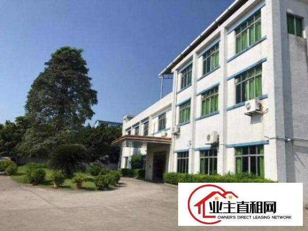  塘厦128工业区2500平方米独院厂房！一楼6米！精装修
