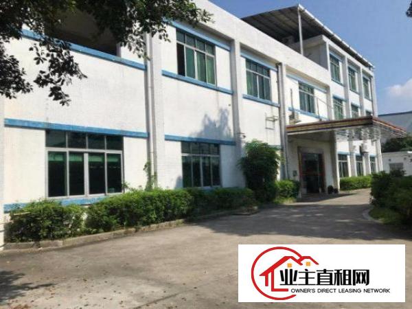  塘厦128工业区2500平方米独院厂房！一楼6米！精装修