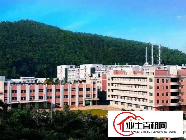  东莞市塘厦田心大型花园式独院厂房出租21000平方