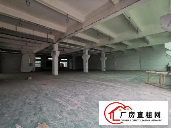  （5.5米，有牛角）塘厦科苑城1000平方标准一楼厂房出租
