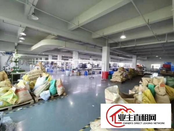  实拍图！！独栋标准厂房300平方米起租，优势：一楼，楼上分租