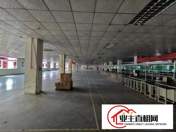  实拍图！！独栋标准厂房300平方米起租，优势：一楼，楼上分租