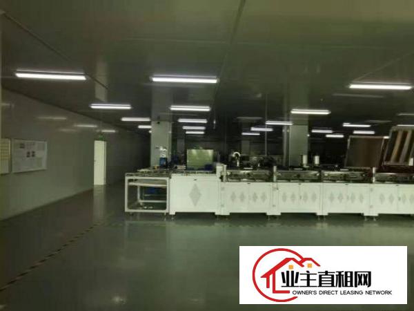  实拍图！！独栋标准厂房300平方米起租，优势：一楼，楼上分租