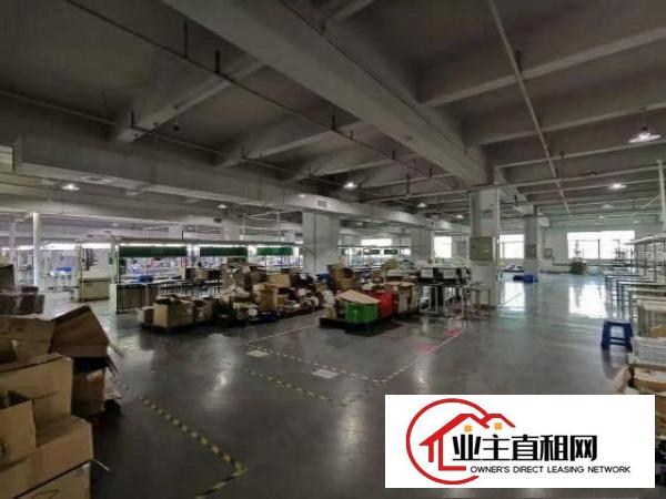  实拍图！！独栋标准厂房300平方米起租，优势：一楼，楼上分租