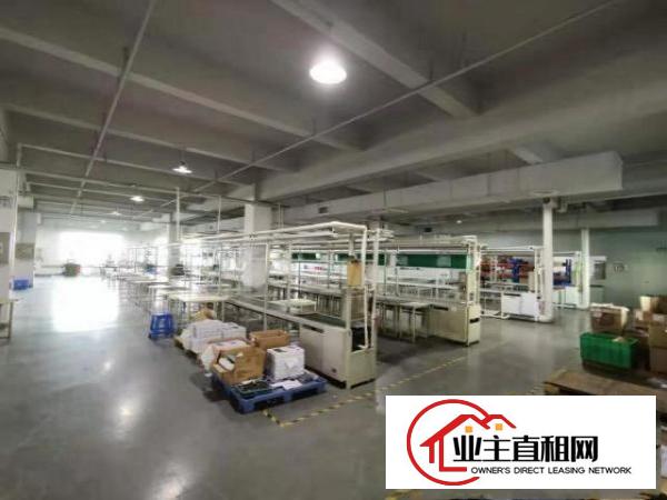  实拍图！！独栋标准厂房300平方米起租，优势：一楼，楼上分租