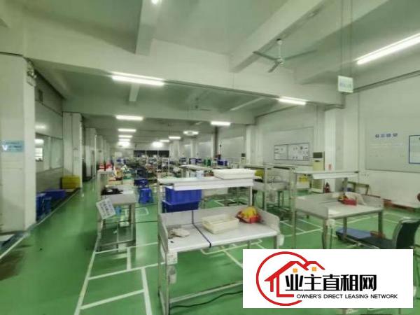  ~实拍！塘厦振兴围2800平米3至4F厂房，共5600平方~