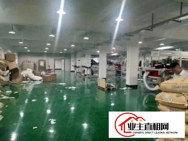  塘厦工业区，装修好，拎包入驻。环境好