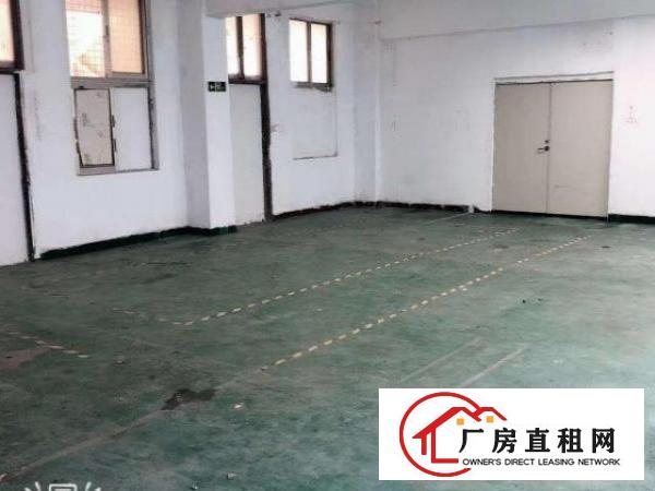  清湖头3600元/月小面积标准厂房200平米，带装修