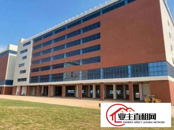  塘厦镇新出红本工业园12万平方厂房物流仓出租