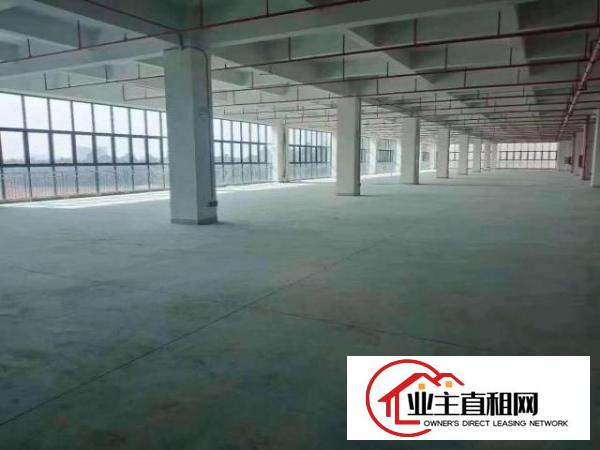  塘厦镇新出红本工业园12万平方厂房物流仓出租